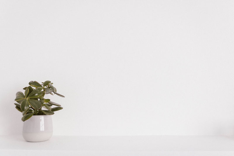 Cómo decorar una cocina blanca